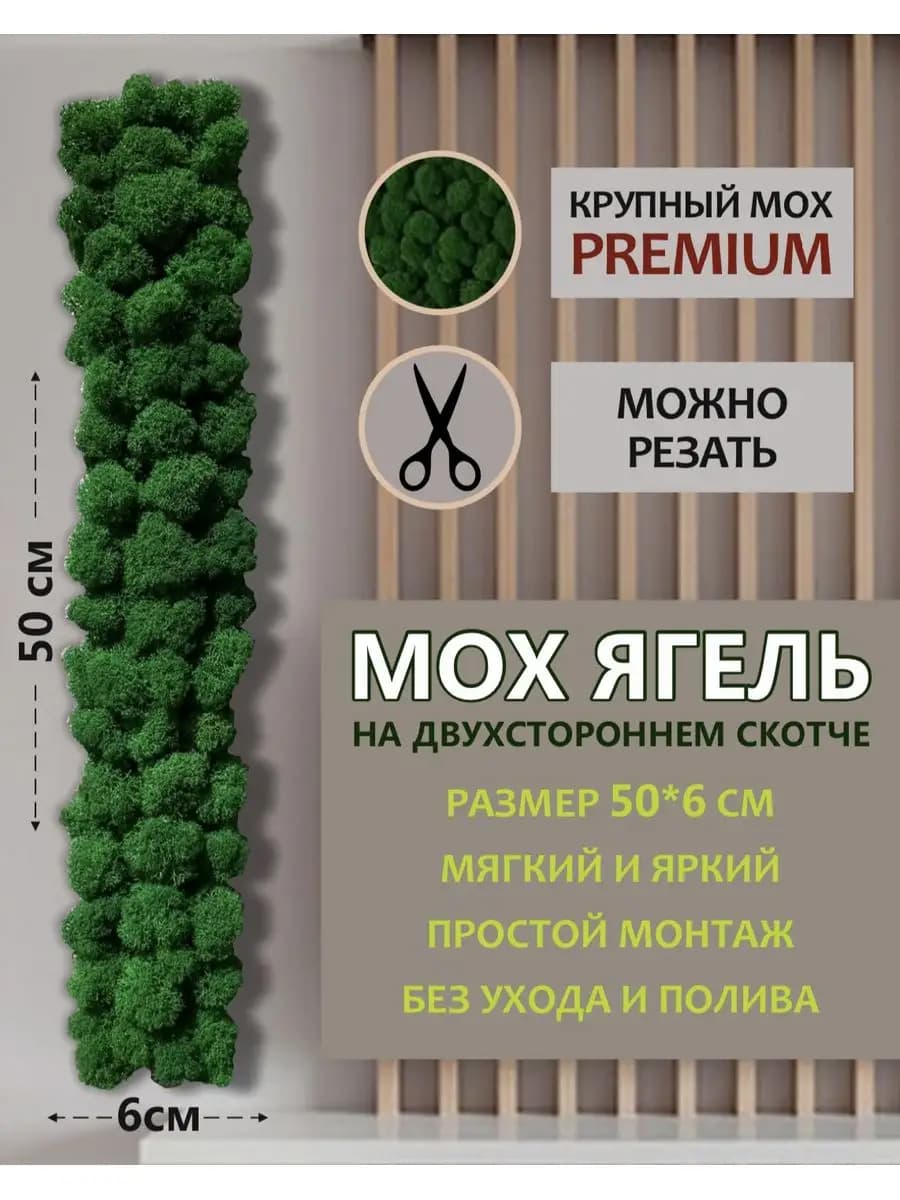 Лента из мха стабилизированного ягель 50*6 см