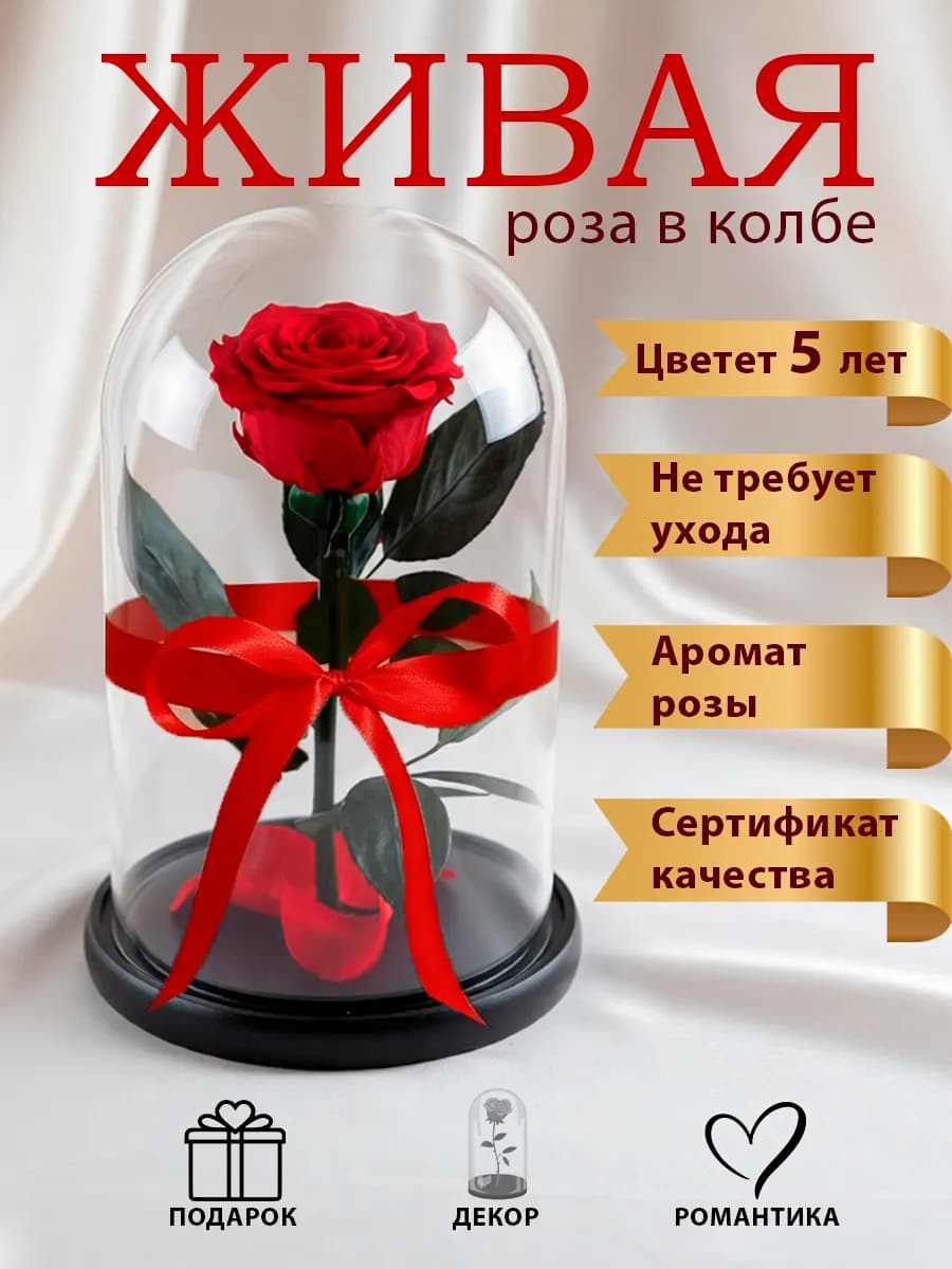 Живая Роза в колбе подарок женщине на день рождения