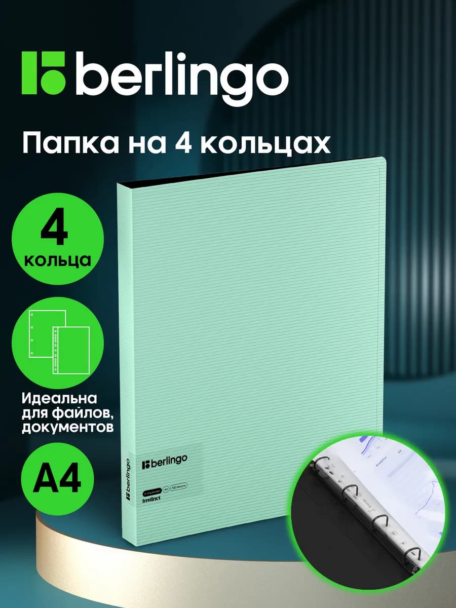 Папка на кольцах для документов и файлов, А4