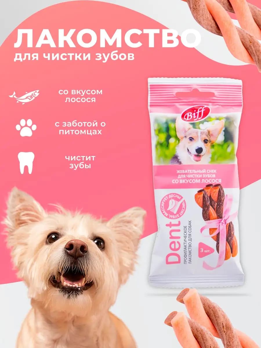 Лакомство для мелких пород Снек для чистки зубов с лососем