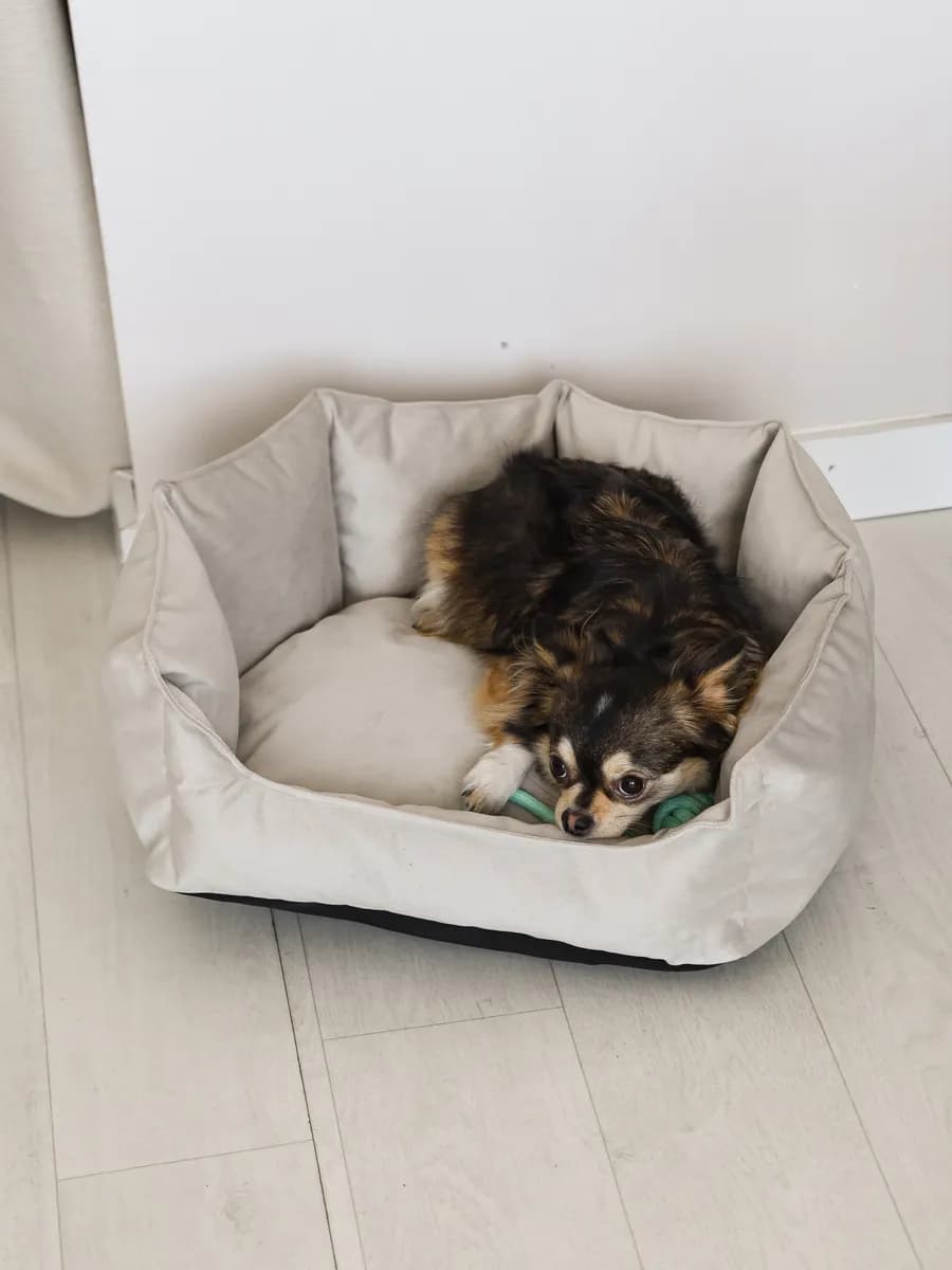 Лежанка для собак и кошек мелких и средних пород