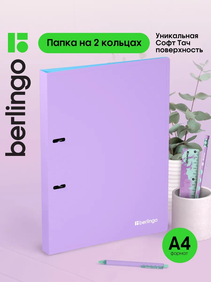 Папка на кольцах для документов и файлов, А4