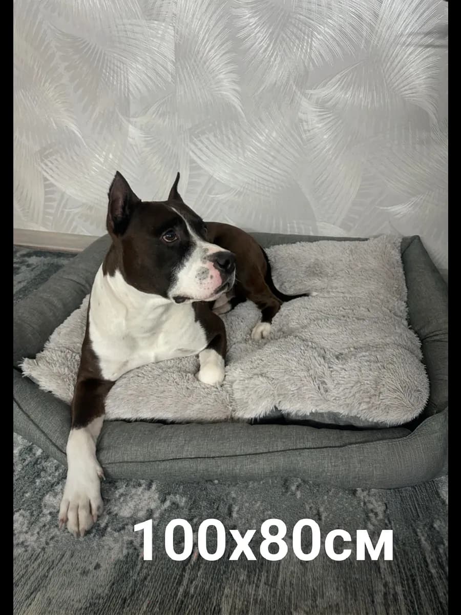 Лежанка для животных кошек и собак 100 80 см