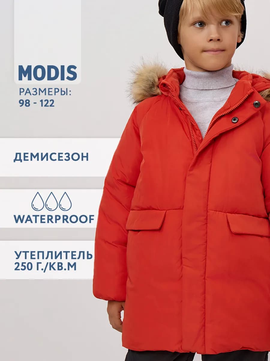 Куртка демисезонная с капюшоном
