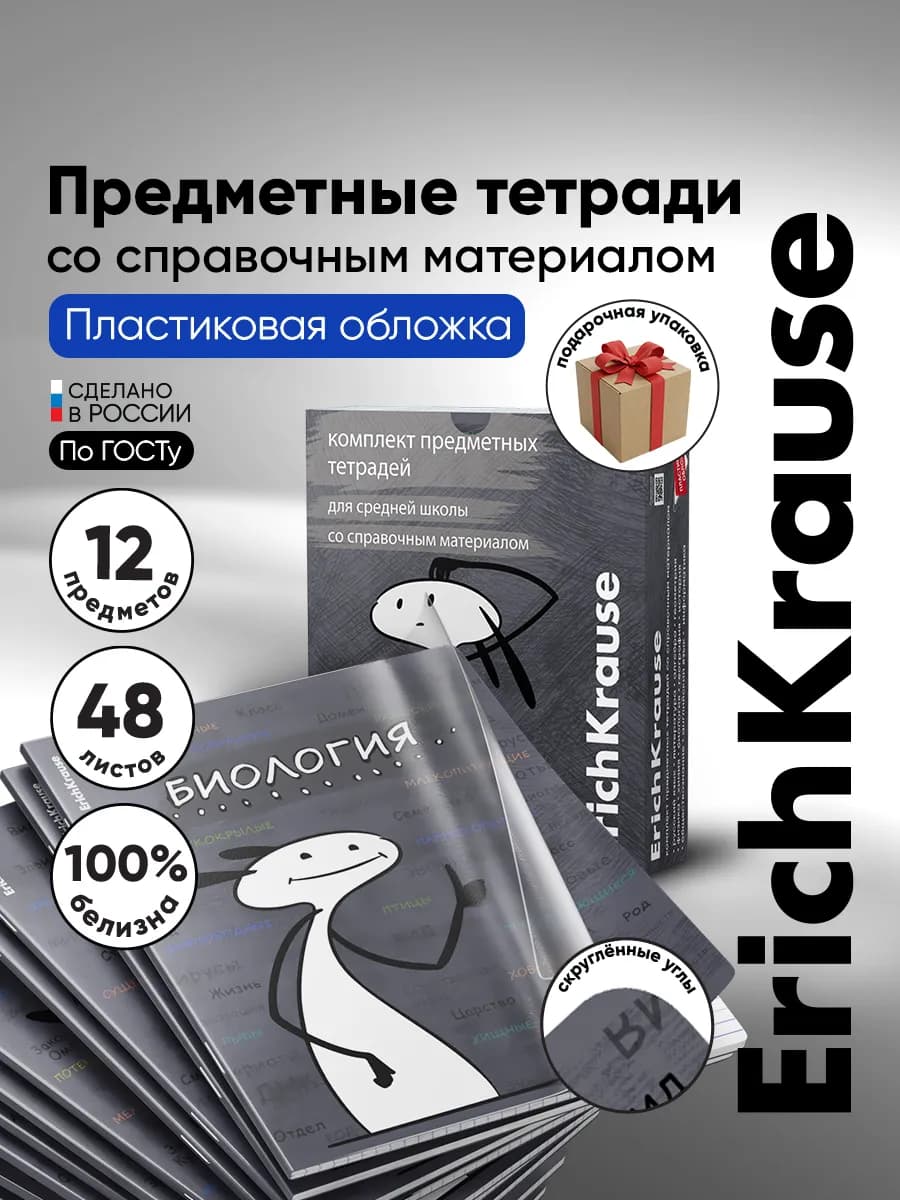 Предметные тетради набор 48 листов 12 штук