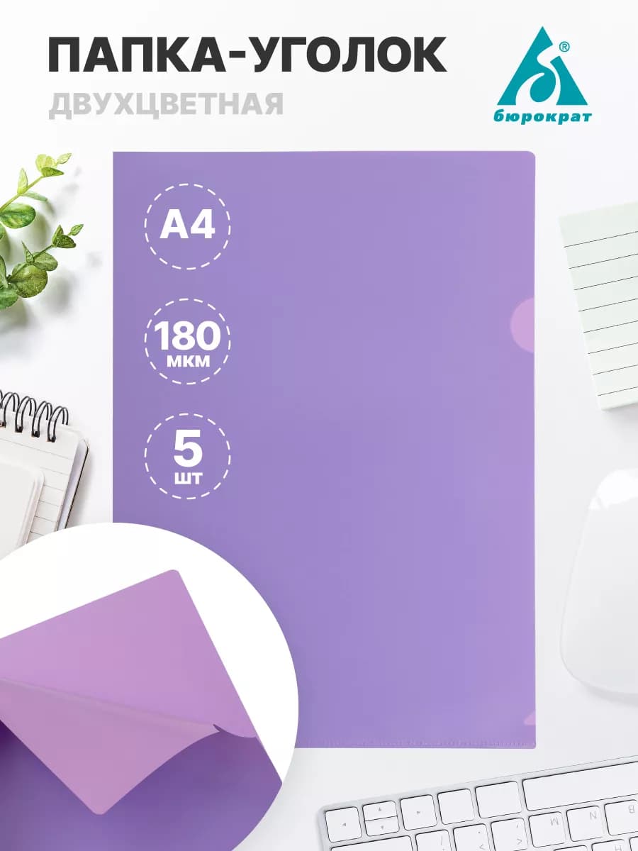 Папка-уголок А4 в двухцветной гамме 5 шт в упаковке - фото 1