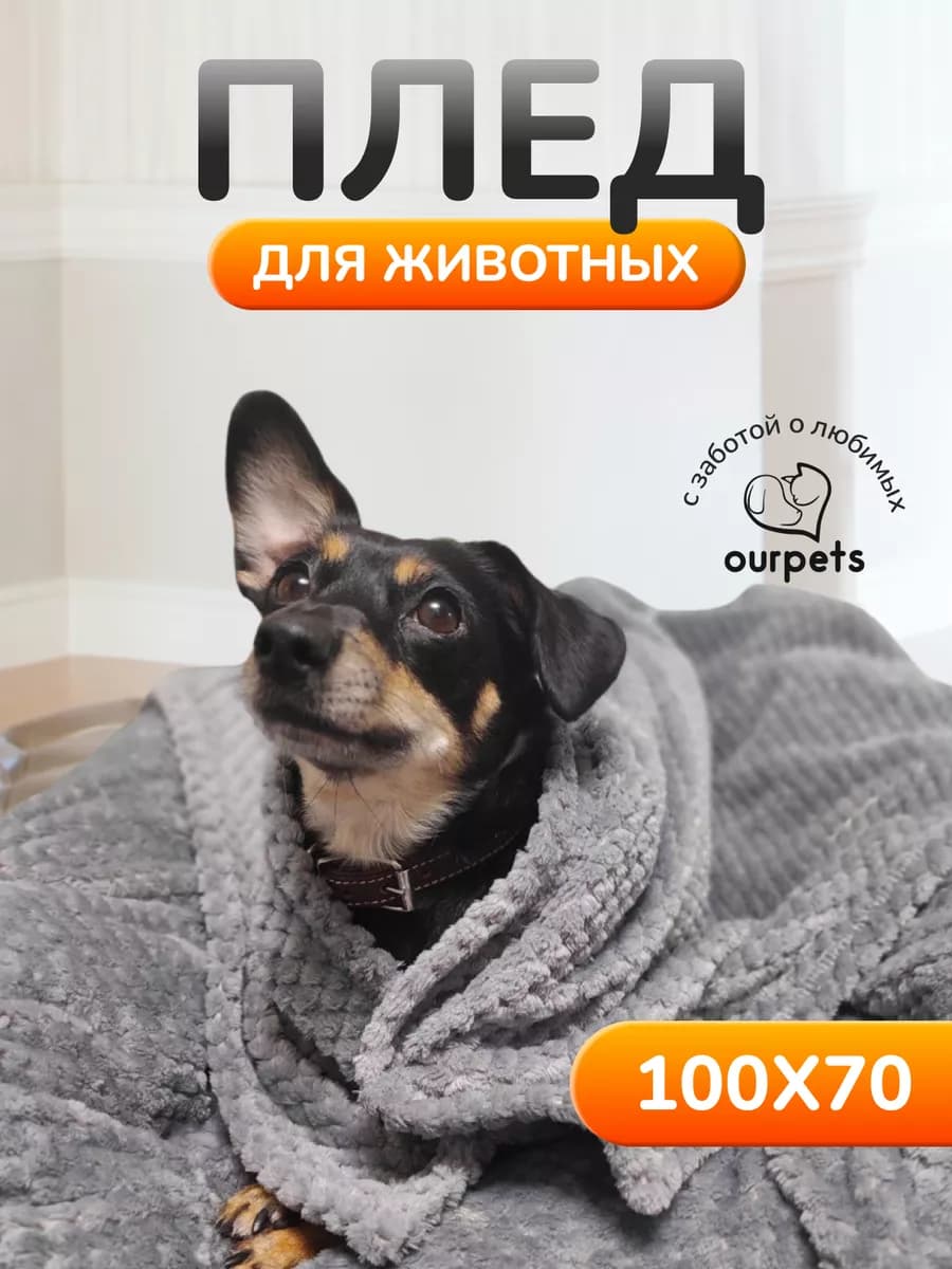 Плед для животных для собак и кошек 100х70 см из велсофта