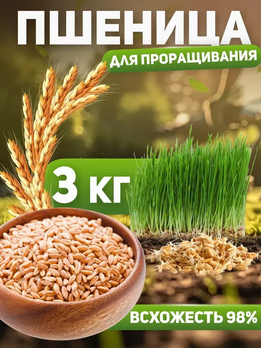 Пшеница для проращивания, витграсс, ростки 3 кг
