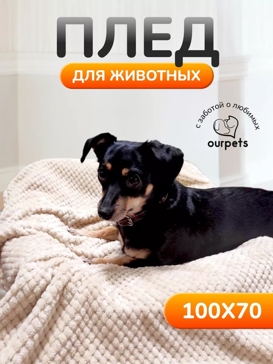 Плед для животных для собак и кошек 100х70 см из велсофта