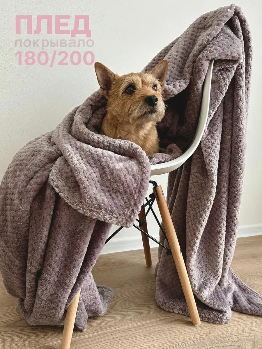 Плед 180х200 на диван и кровать пушистый плюшевый велсофт