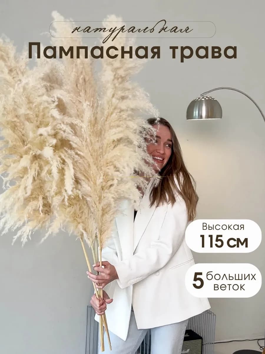 Сухоцветы для декора и интерьера Пампасная трава высокая 5