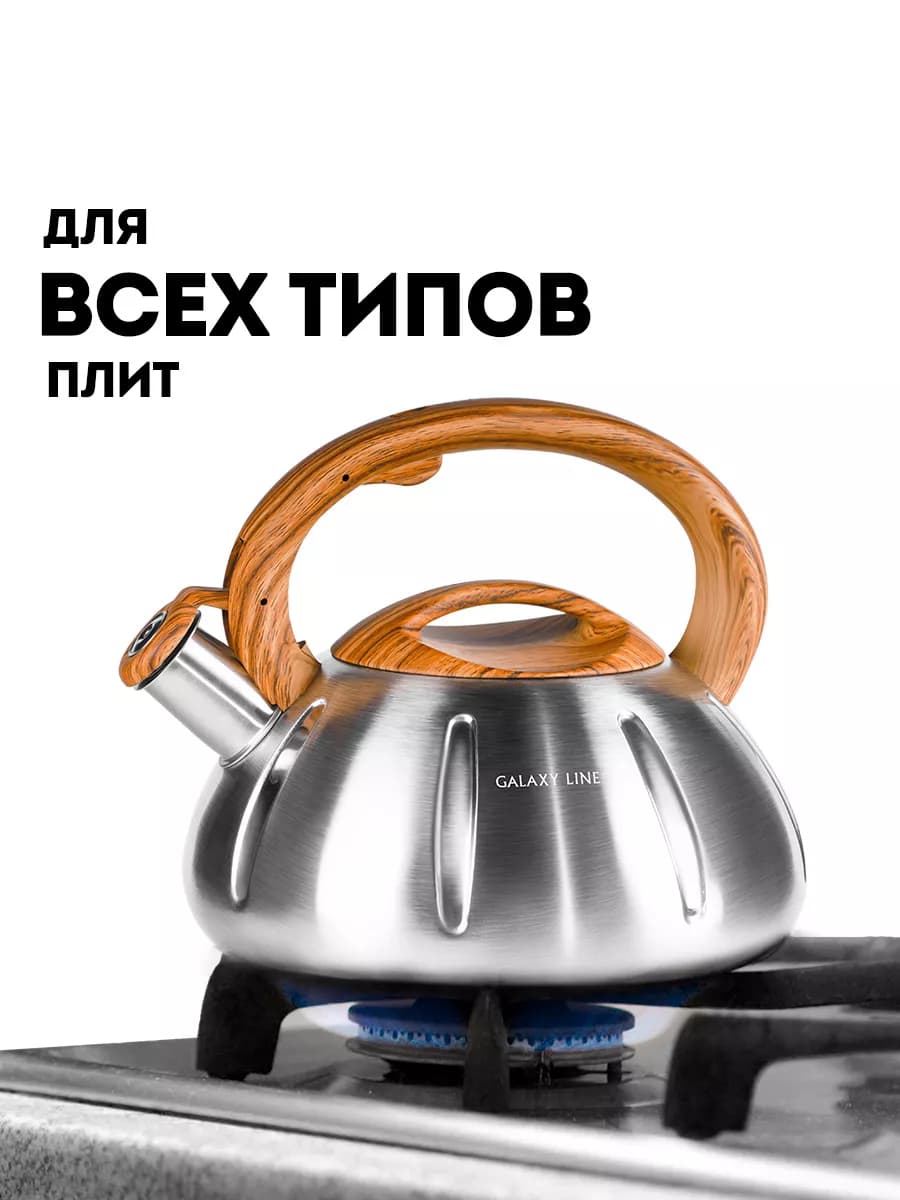 Чайник для плиты со свистком GL9206 - фото 1