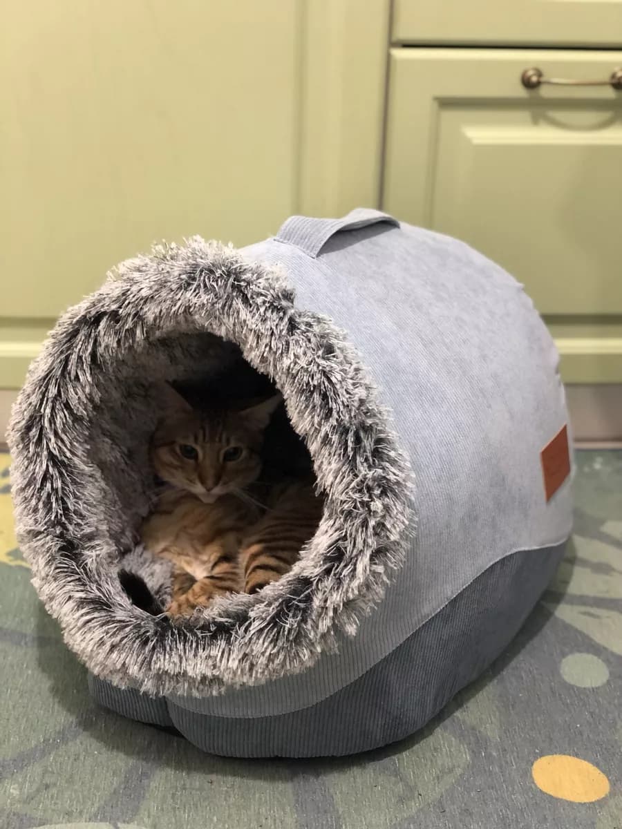 Закрытая лежанка домик для кошек и собак