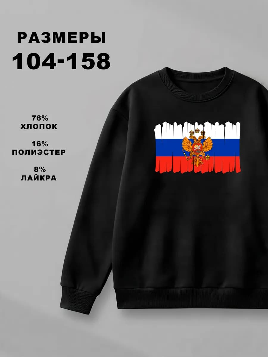Свитшот кофта для мальчика с принтом Флаг и Герб России