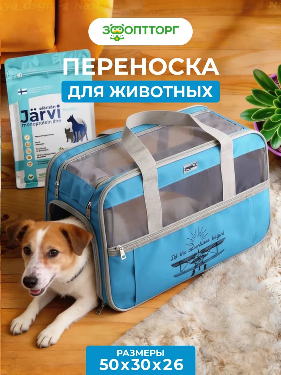 Сумка-переноска для животных "Техно" 50*30*26мм,Голубой