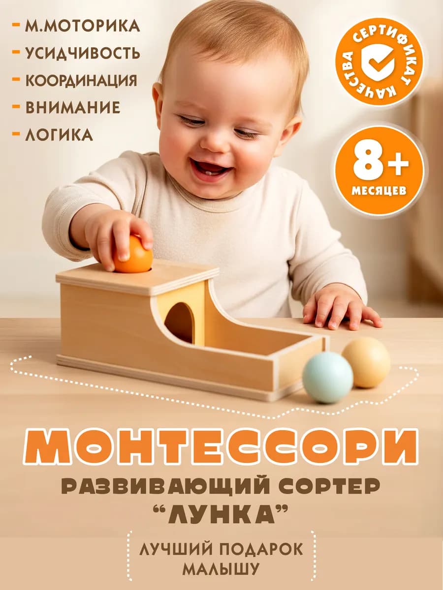 Сортер Монтессори Лунка