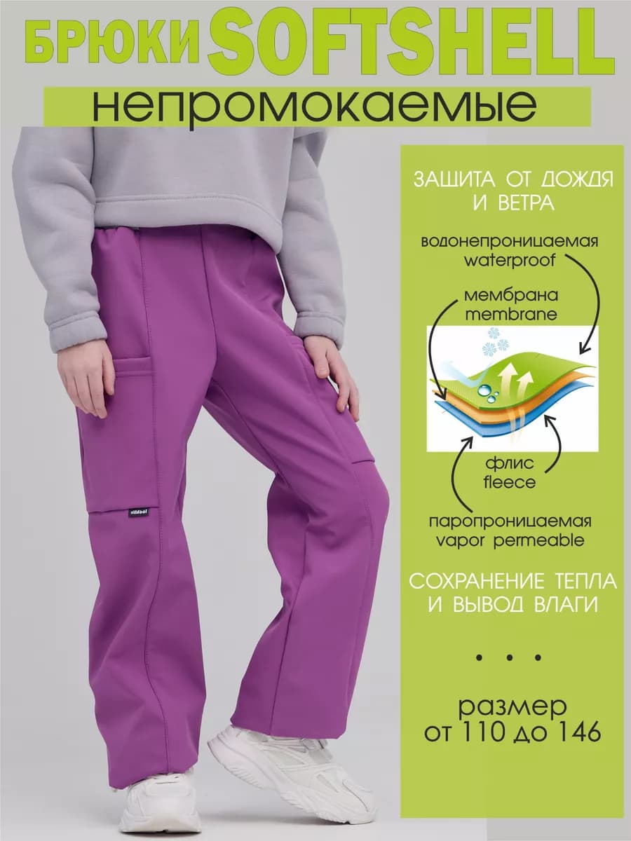 Спортивные брюки софтшелл утепленные демисезонные
