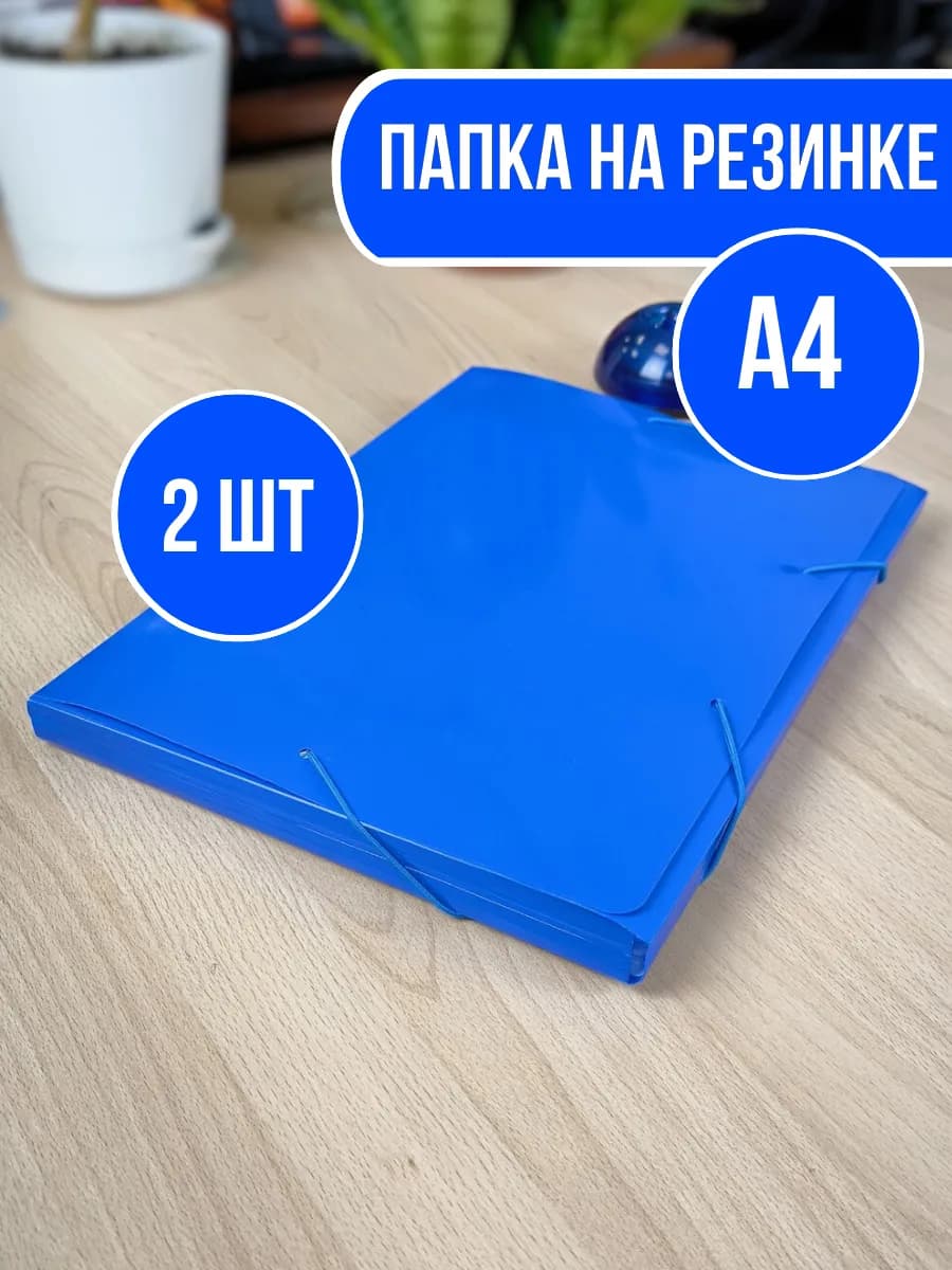 Папка на резинке для документов А4-2шт