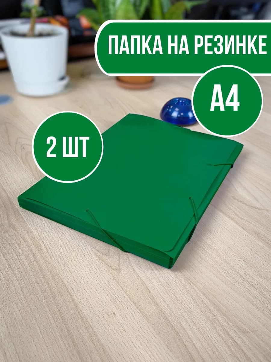 Папка на резинке для документов А4-2шт