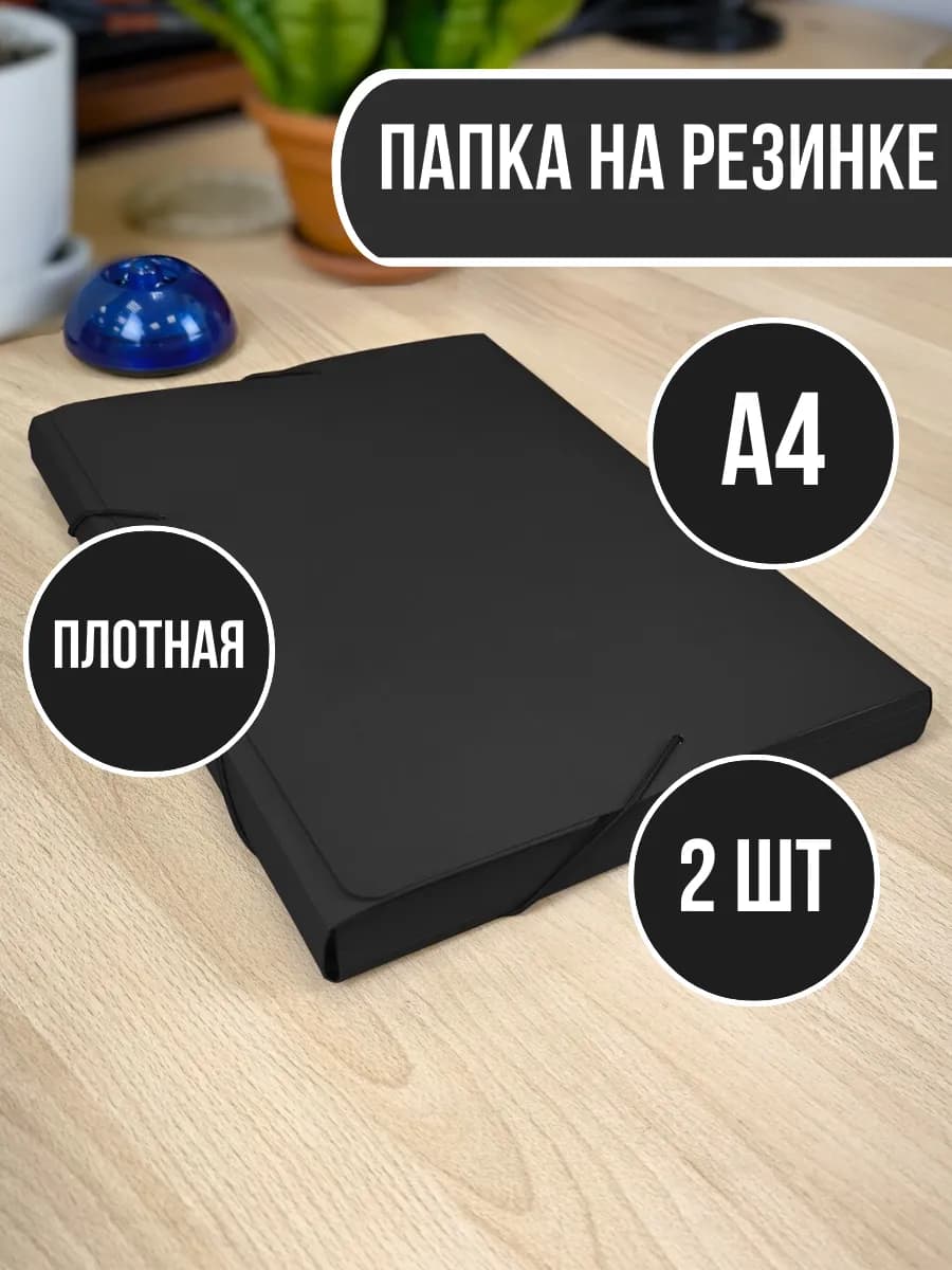 Папка на резинке для документов А4-2шт