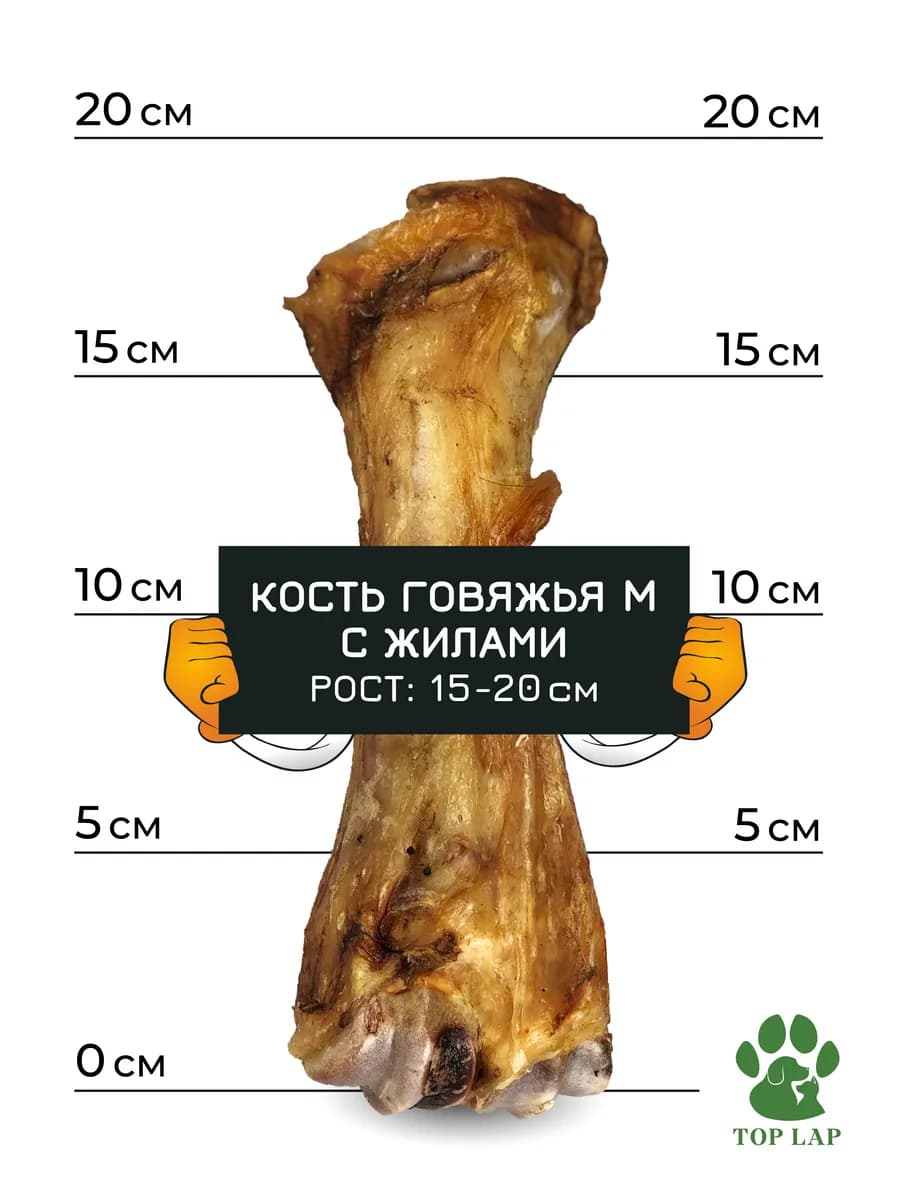 Кость лакомство для собак с жилами и хрящами