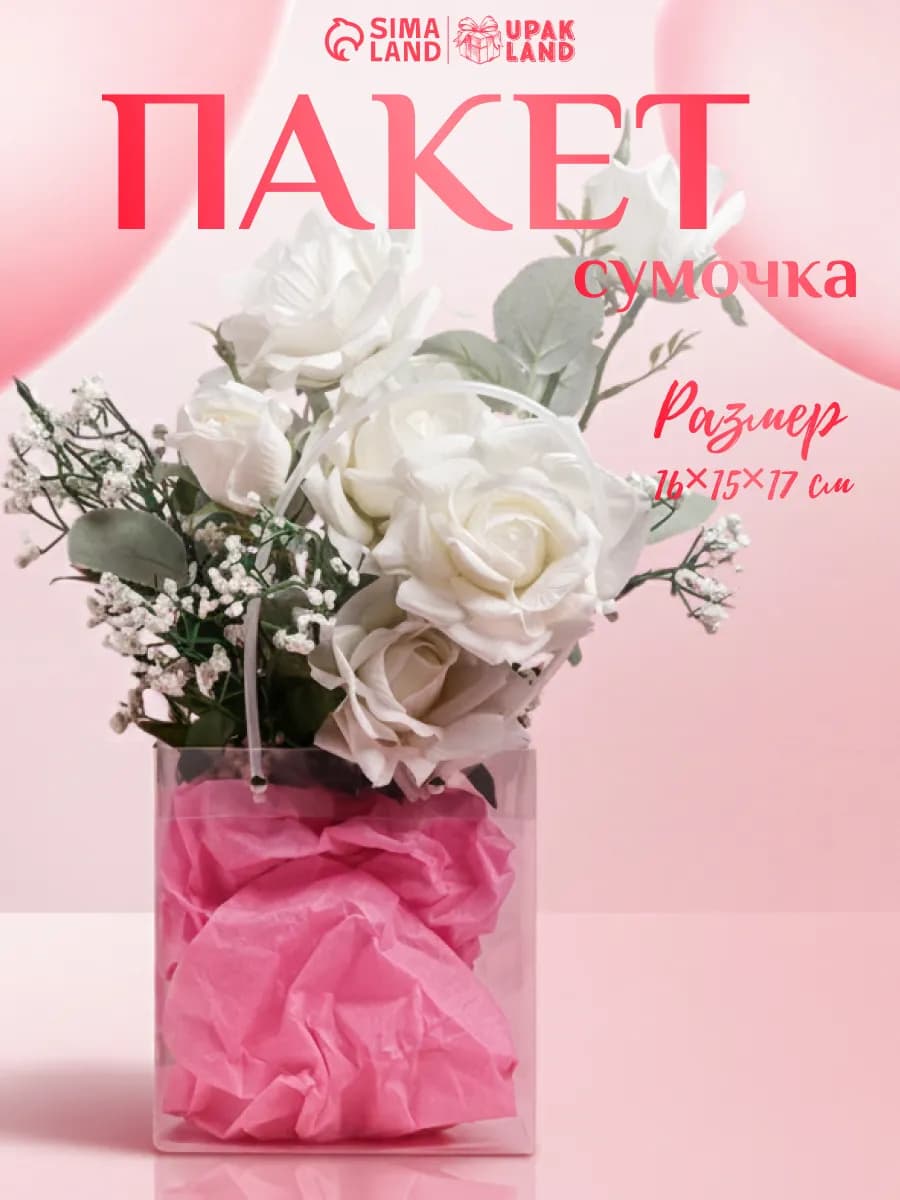 Подарочный пакет для упаковки подарка