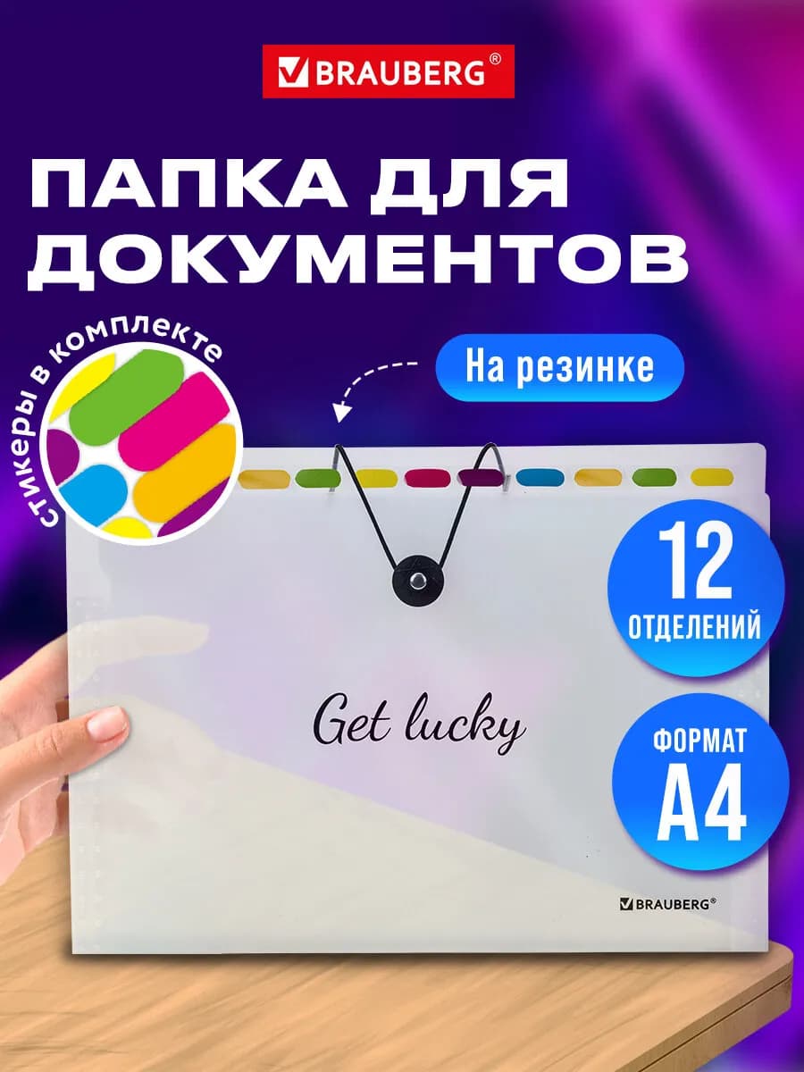 Папка для документов А4 на резинке канцелярская 12 отд