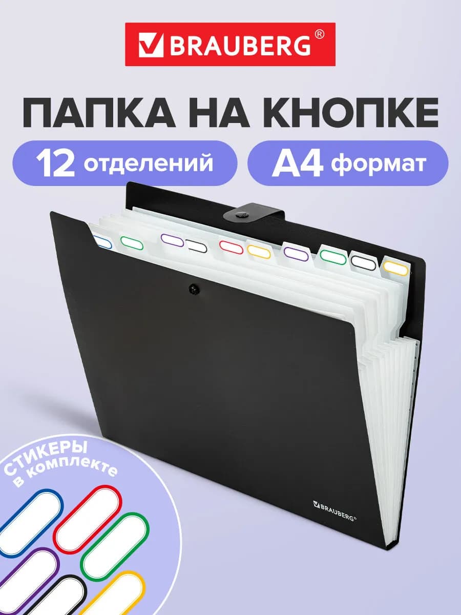 Папка для документов А4 на кнопке канцелярская 12 отд