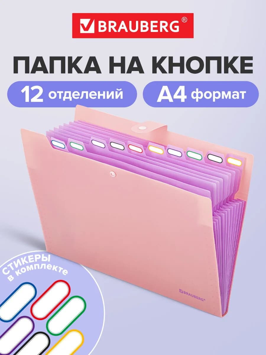 Папка для документов А4 на кнопке канцелярская 12 отд