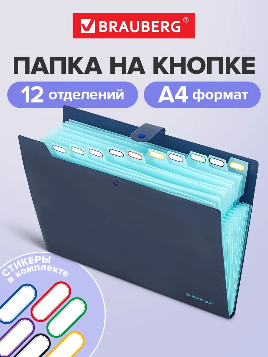 Папка для документов А4 на кнопке канцелярская 12 отд