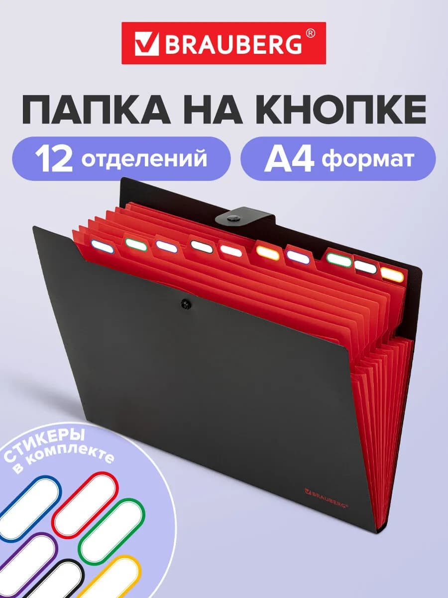 Папка для документов А4 на кнопке канцелярская 12 отд
