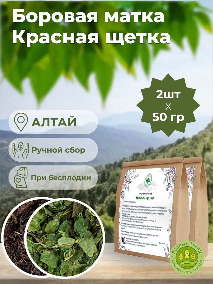 Боровая матка и Красная щетка, женский травяной сбор