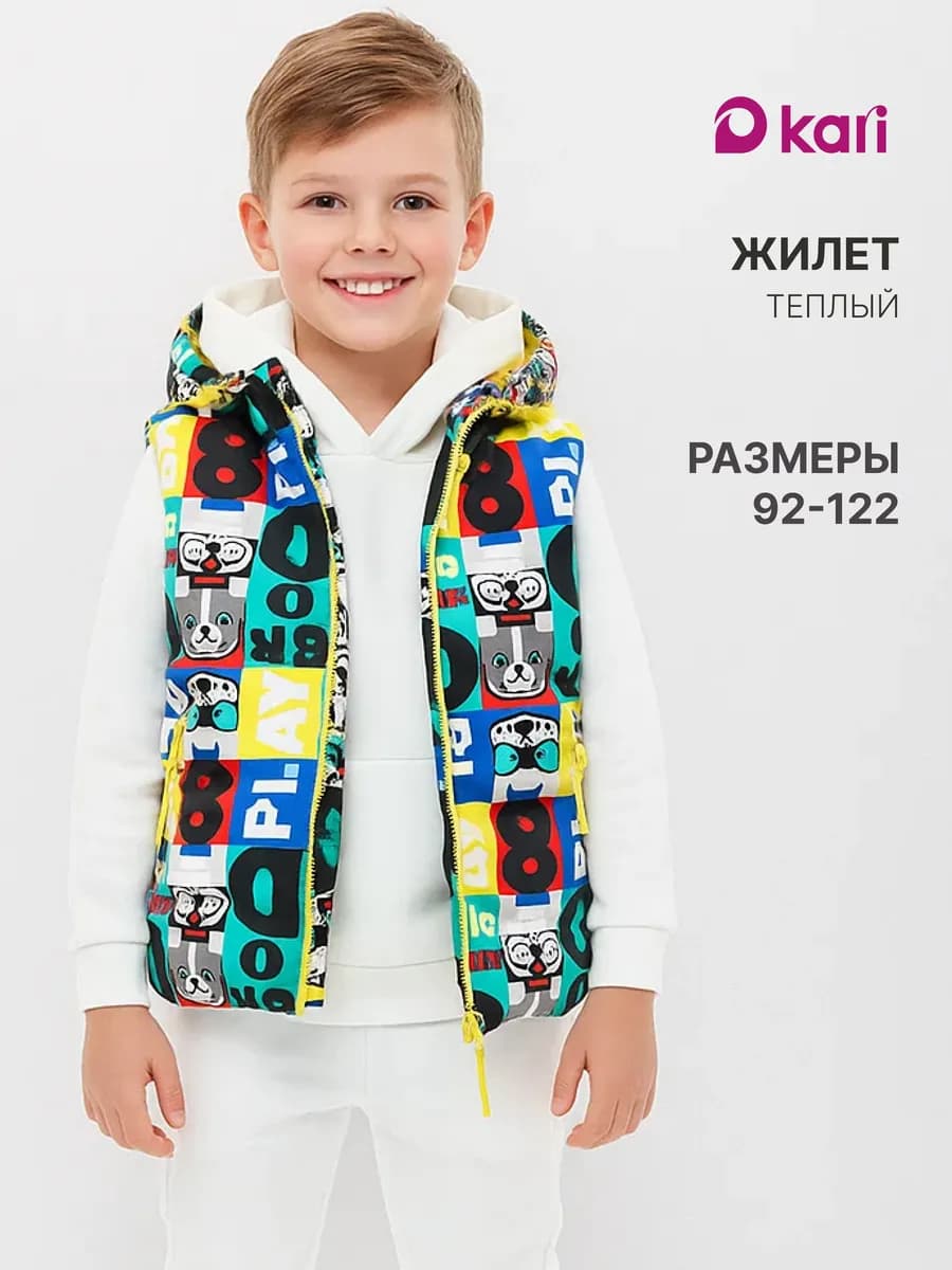 Жилетка для мальчика утепленная с капюшоном