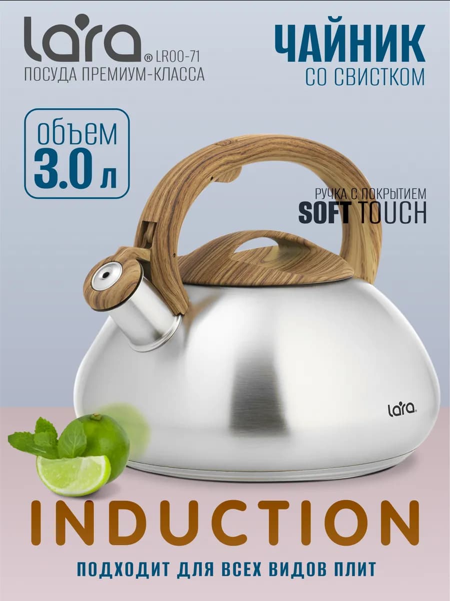Чайник для плиты со свистком 3 л LR00-71