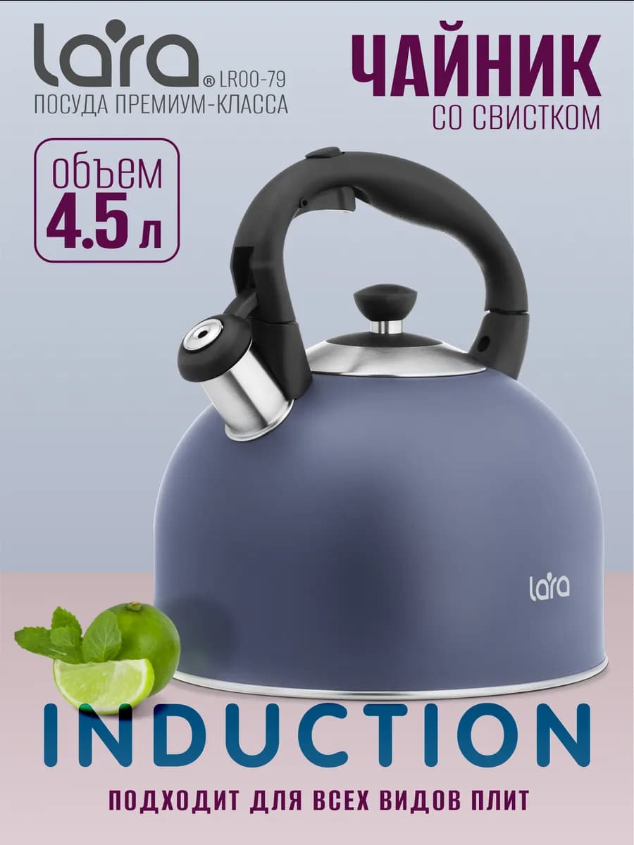 Большой чайник для плиты со свистком 4,5 л LR00-79