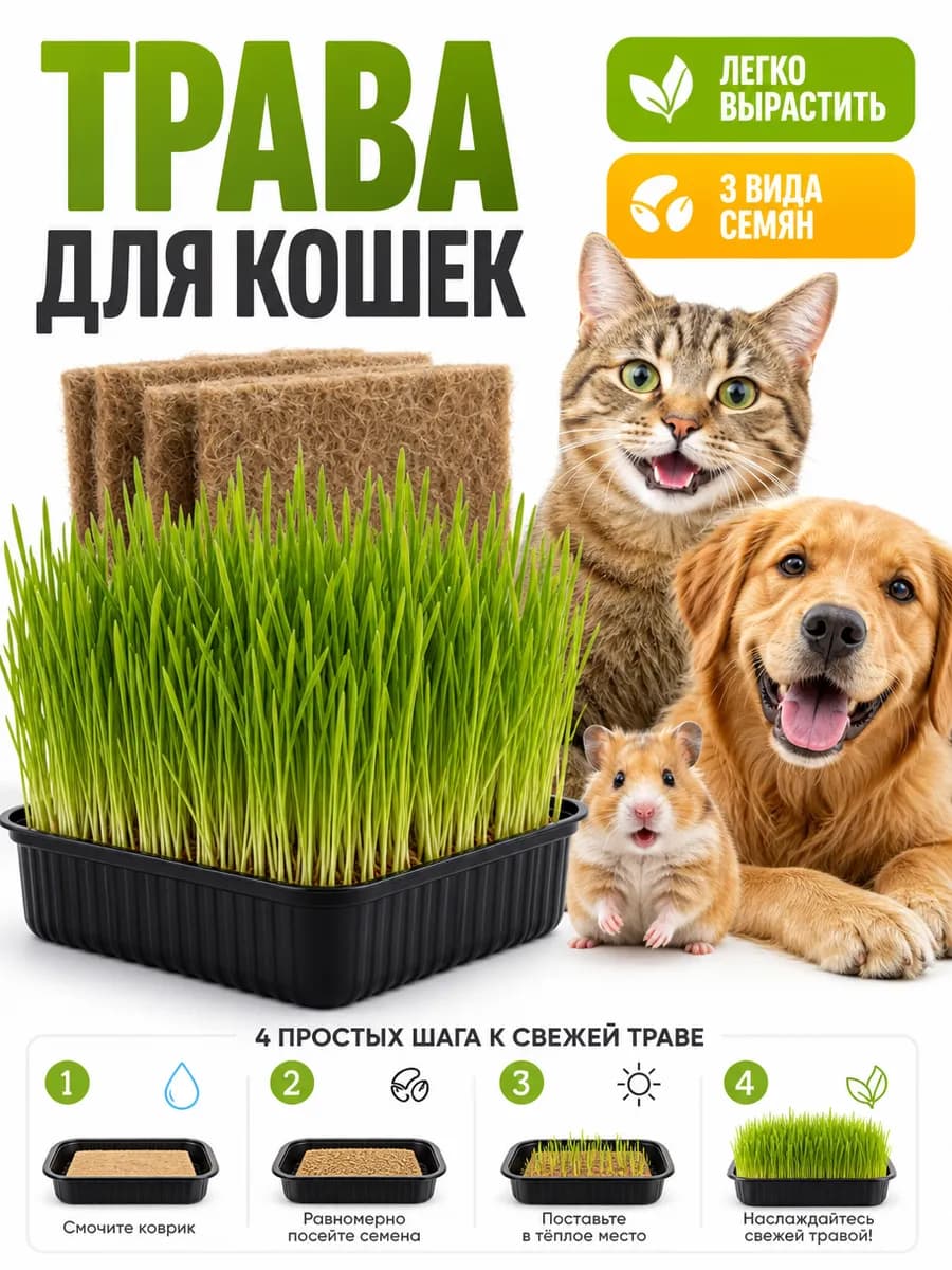 Трава для кошек. Набор для выращивания