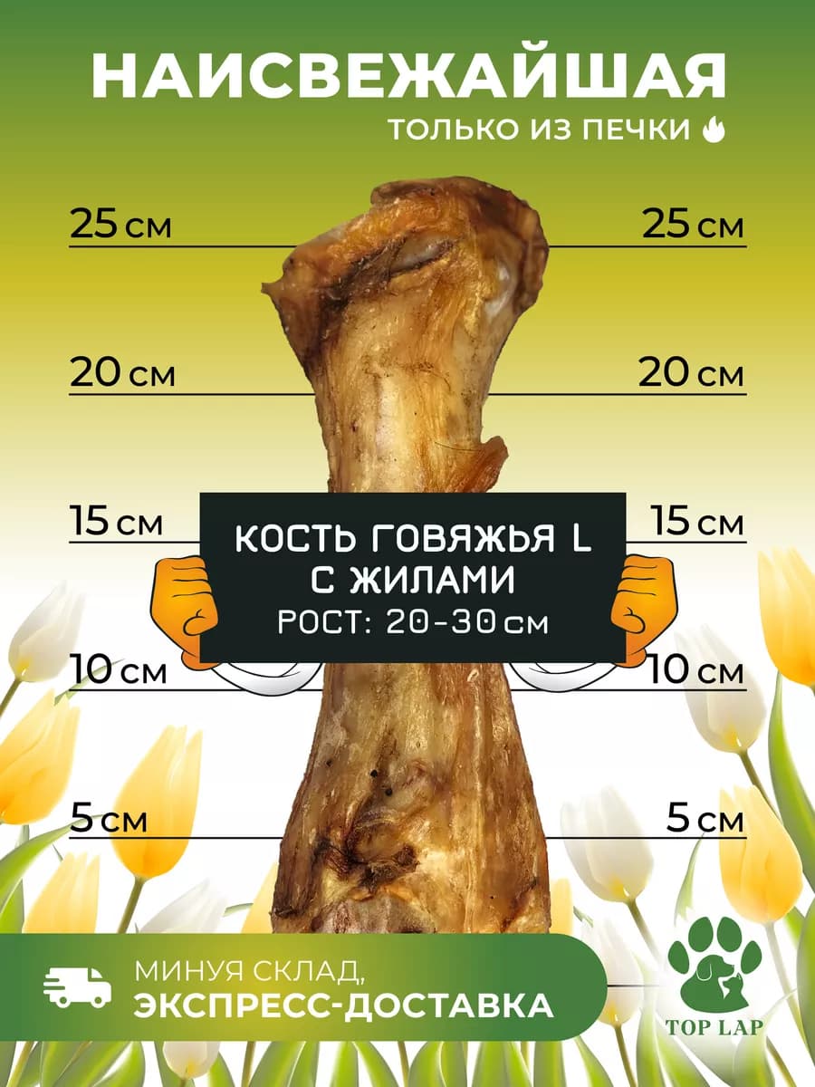 Лакомство для собак кость с жилами и хрящами