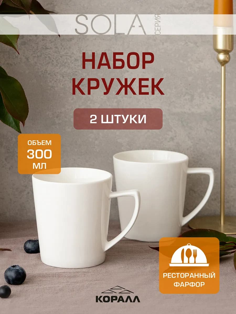 Кружка для чая набор 2шт 300мл Sola