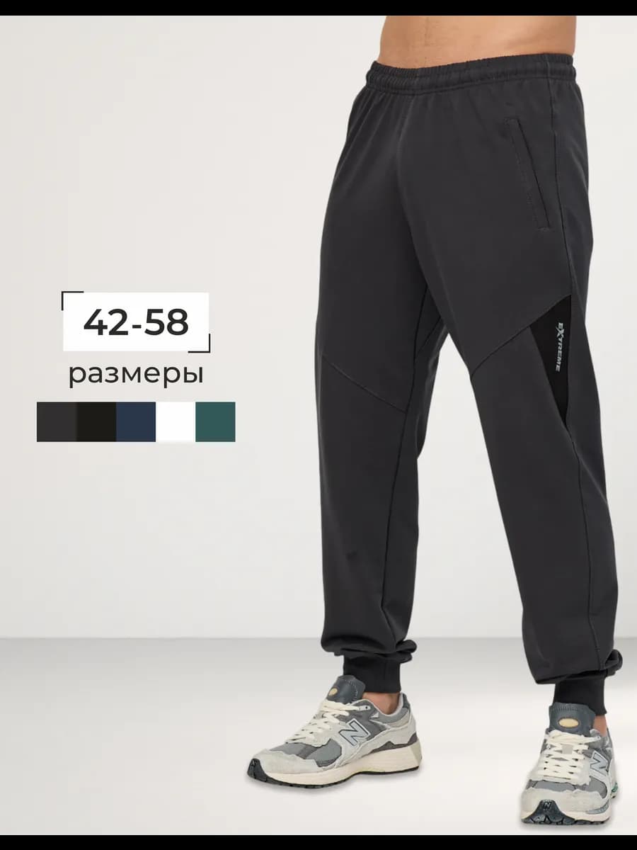 Штаны спортивные без начеса трико осенние