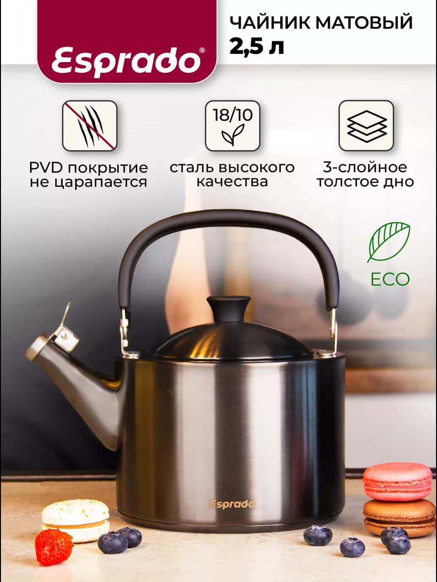 Чайник со свистком для всех видов плит на 2,5 л