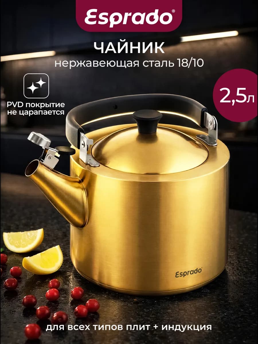 Чайник со свистком для всех видов плит на 2,5 л