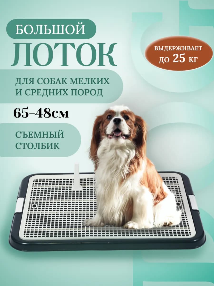 Лоток для собак со столбиком Большой 65*48см