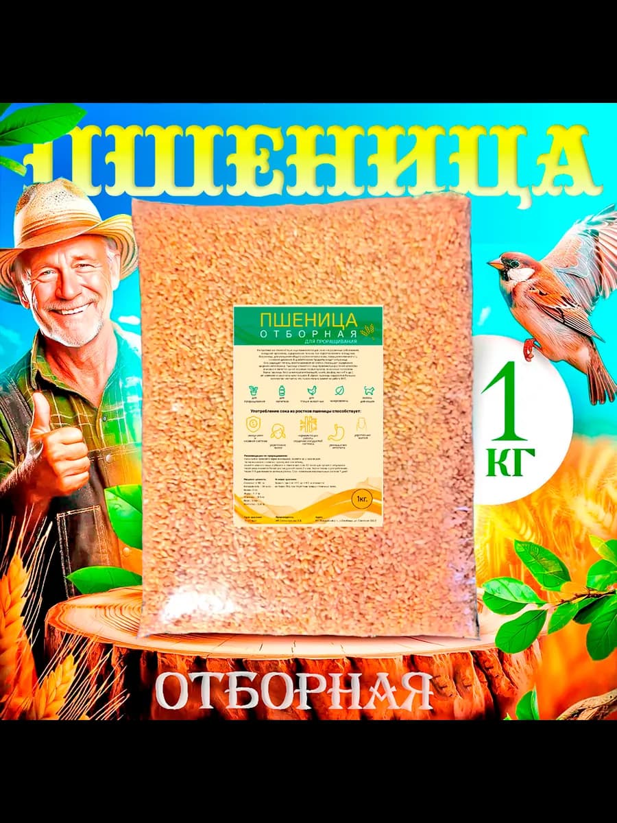 Пшеница отборная для проращивания зерно для микрозелени