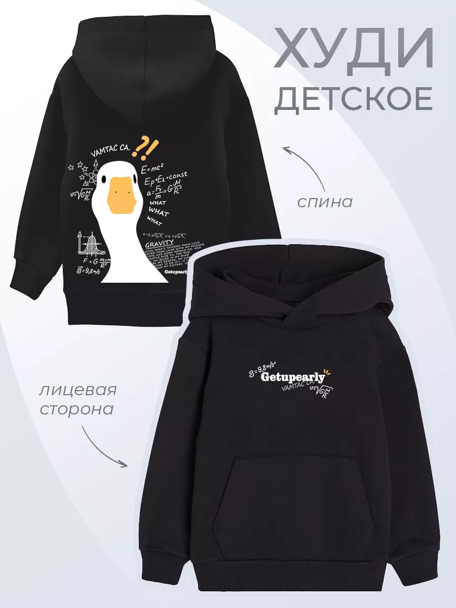 Детское худи Гусь Формулы Наука Животные Оверсайз