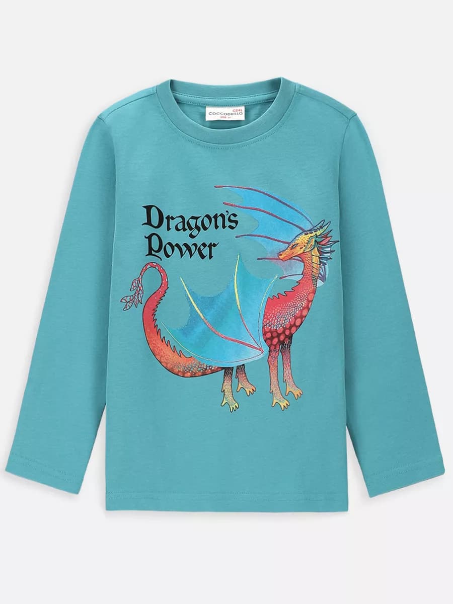Лонгслив с принтом Dragon`s power