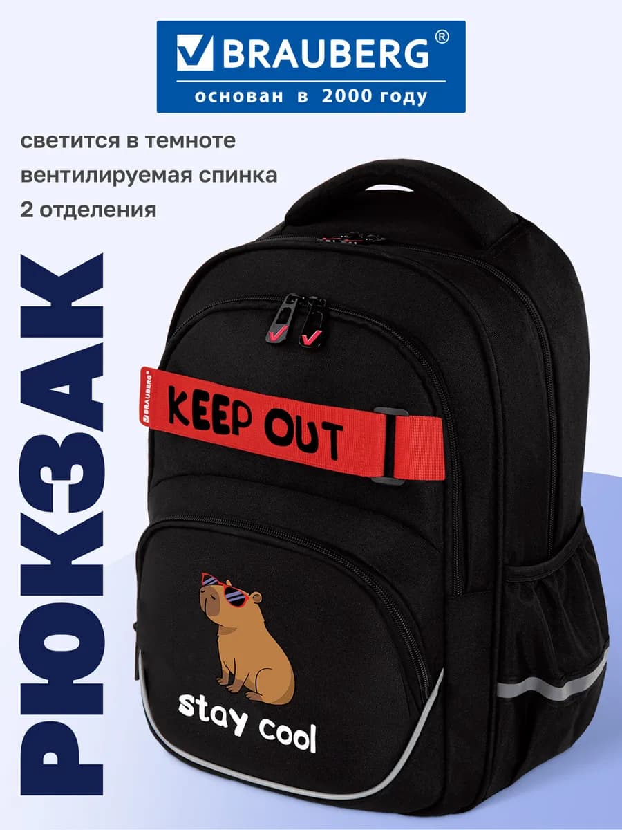 Рюкзак школьный ортопедический в школу