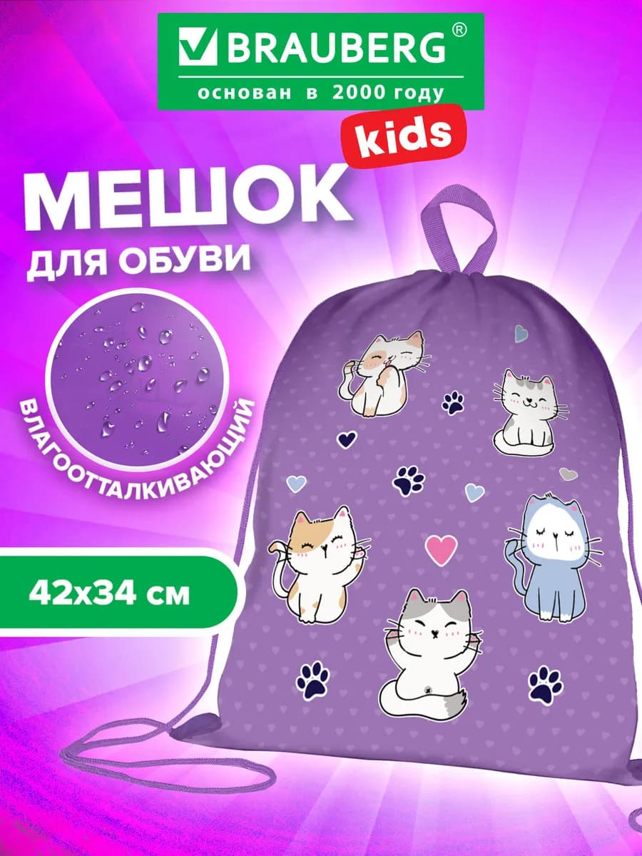 Мешок для обуви, сумка для сменки в школу, чехол плотный