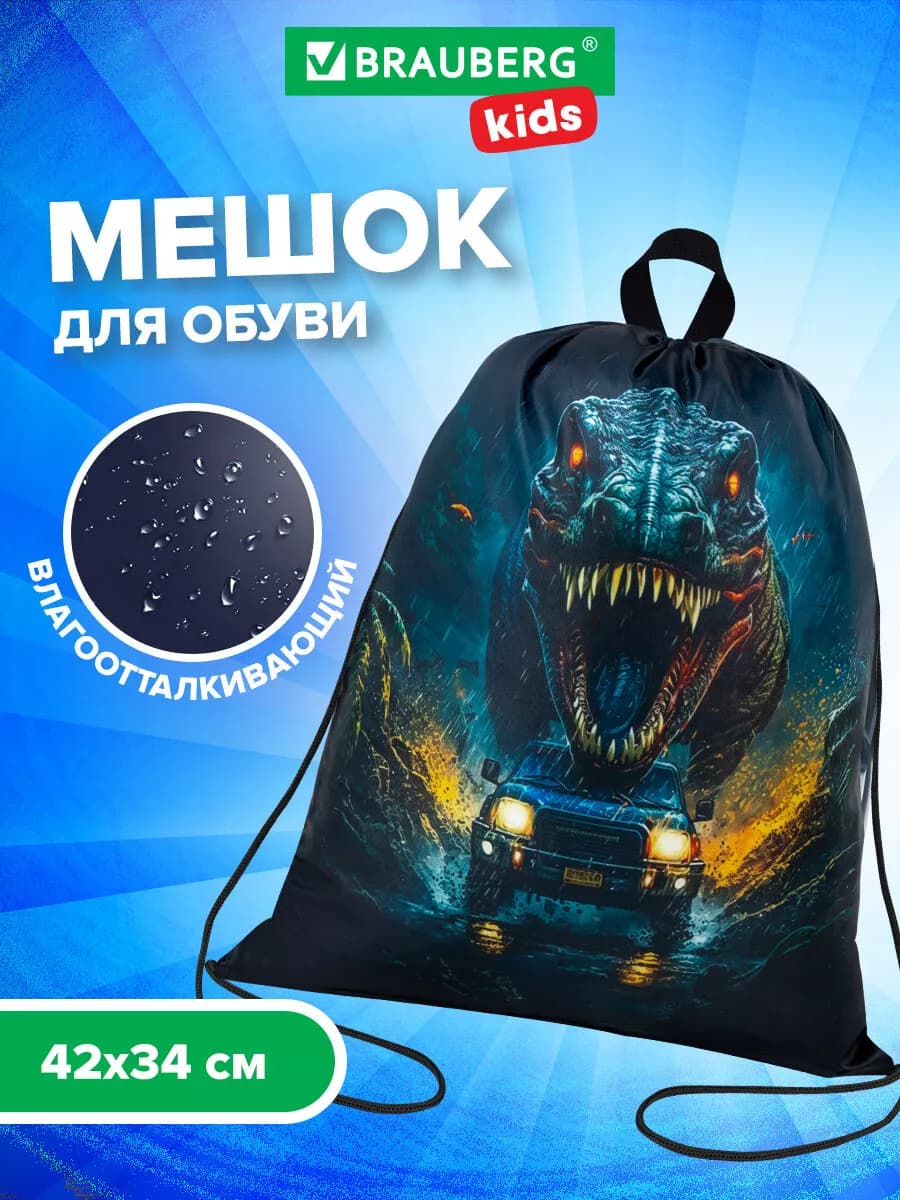 Мешок для обуви, сумка для сменки в школу, чехол плотный