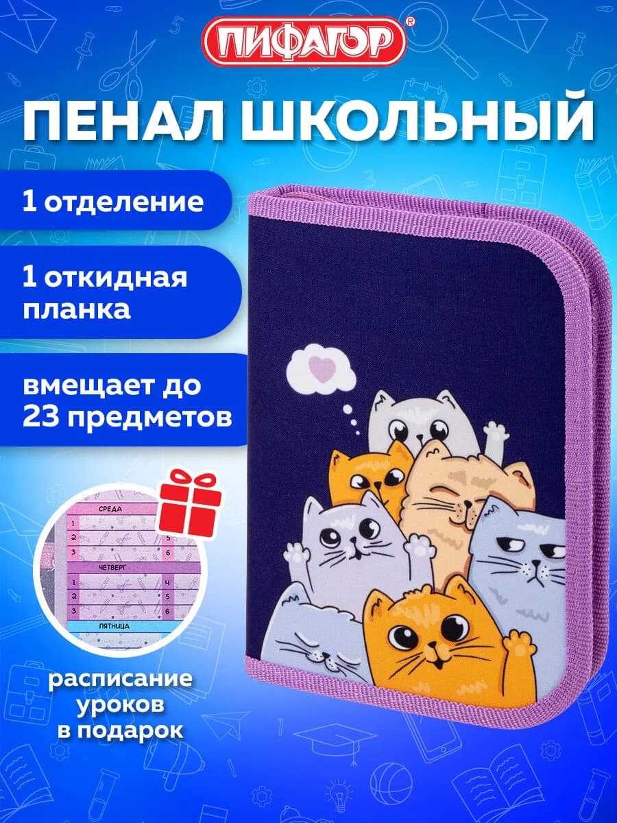 Пенал школьный для девочек для карандашей, ручек 1 отделение