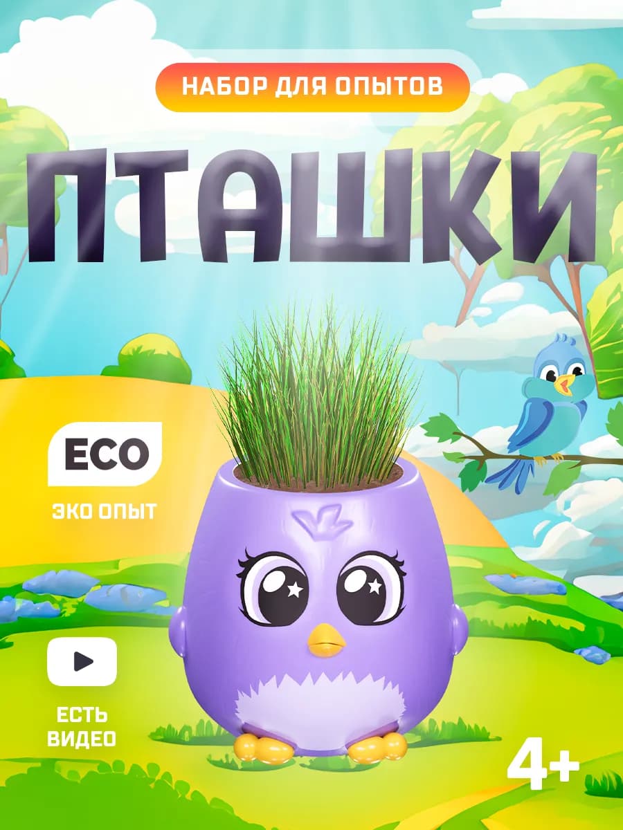 Выращивание растений для детей Пташки